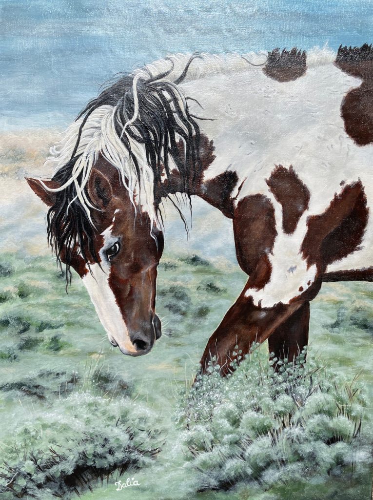 Wild pinto mustang horse realistic detailed original painting acrylic